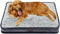 Dog Bed for Extra Large Breeds, Deluxe Plush Crate Beds, Comfy Kennel Pad, Waterproof, Removable Washable Cover