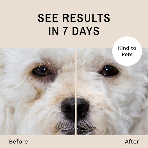 Eye Envy Dog Tear Stain Remover Starter Kit, 100% Natural, Safe, Lasts 30-45 Days, Made in USA