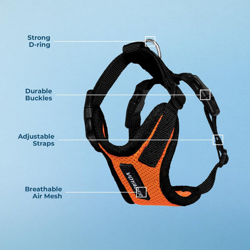 Voyager Step-in Lock Pet Harness - Adjustable All Weather Mesh Harness for Cats and Dogs, Orange/Black Trim, S