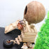 Neeenn Hermit Crab Climbing Toy, Natural Coconut Reptile Hideout with Ladder, Hanging Coconut Reptile House, Cage