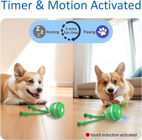 Sofolor Motion-Activated Rolling Ball Toy for Small Dogs - Interactive Squeaky Fun