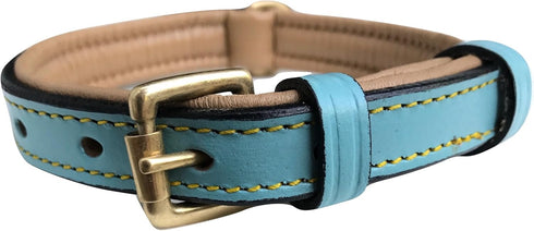 Small Leather Padded Dog Collar, Turquoise with Beige Padding, 16" Long x 5/8" Wide