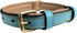Small Leather Padded Dog Collar, Turquoise with Beige Padding, 16" Long x 5/8" Wide