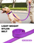 6ft Dog Leash for Small Medium Large Dogs, One-Sided Reflective Nylon, Padded Handle, Purple, 3/4 inch Wide