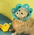 Sunflower Shape Elizabethan Dog Neck Collar, Soft Protective Recovery Cone for Small Dogs & Cats After Surgery