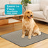 18" 24", 5 Pack, Bunlitent Washable Pee Pads for Dogs x Potty Buddy for Dogs Washable, Dog Training Pads with Quick