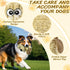 MeetYooo Squeaky Stuffed Dog Toys, Chew Toy for Large Medium Small Breeds, Plush Dog Toys to Keep Them Busy, Puppy