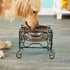 YML Elevated Stainless Steel Dog & Cat Bowl with Black Wrought Iron Stand, 5-Inch (2.5 Cups)
