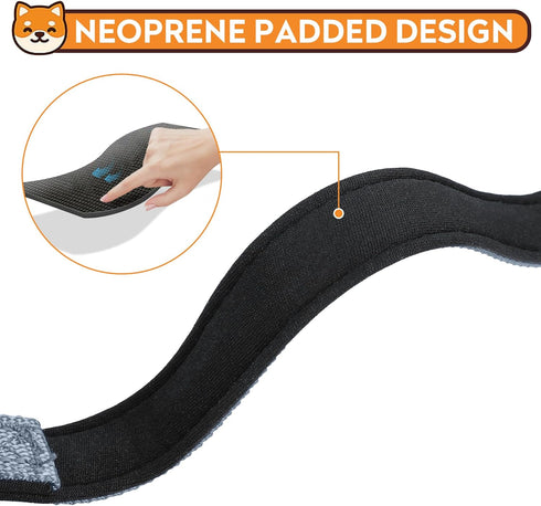 Reflective Dog Collar, Adjustable Soft Neoprene Padded Nylon Pet Collars with Buckle for Extra Large Dogs, Gray, XL