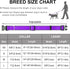 Dynmeow Reflective Dog Collar and Leash Set, 6FT Strong Climbing Rope Leash with Padded Handle, Adjustable for Medium