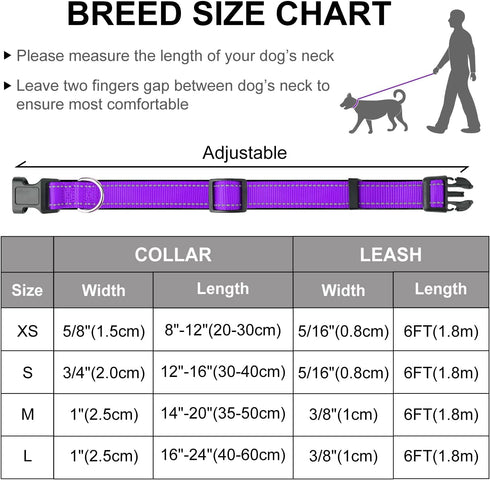 Dynmeow Reflective Dog Collar and Leash Set, Adjustable Pet Collar with Soft Neoprene Padding for Small Medium Dogs