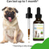 Pet Wellbeing Old Friend for Senior Dogs, 2 oz - Vet-Formulated Natural Herbal Supplement for Joint Mobility Support