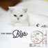 The Blissful Cat Paw Butter, Moisturizer for Dry Paw Pads, Lick-Safe Cat Paw Balm, 0.15 oz