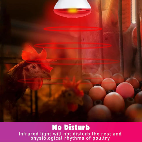 250 Bulb 1 Pack, Bulb LUCKY HERP Infrared Heat Lamp for Chickens - Watts Red Heat Lamp Heat Light for Brooder Coop