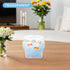 GALPADA Desktop Fish Tank Shrimp Tank Fish Bowl Planter, Impact-Resistant Plastic, Large Size for Desk Decoration