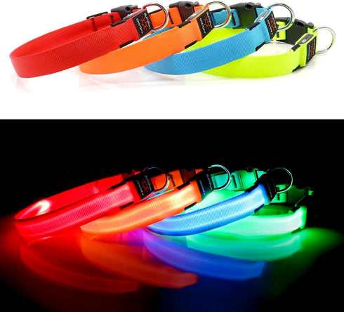 LED Dog Collar, USB Rechargeable Lighted Adjustable Nylon Safety Collar for Dogs Glow in The Dark (Blue, Medium)
