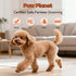 Trimmer Trimmers Dog Paw with LED Light, Low Noise and USB Rechargeable, Safe Rounded-Tip Scissors, Paw for Dog's Feet