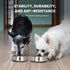 ICONIC PET 16 oz/2 Cup Stainless Steel Non Skid Pet Food/Water Bowl - Noise Free, Ant Resistant Dog/Cat Feeding Bowl