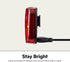 Schwinn Rechargeable Bike Tail Light, 80 Lumens, Type-C USB, Enhanced Visibility, Bicycle Accessory