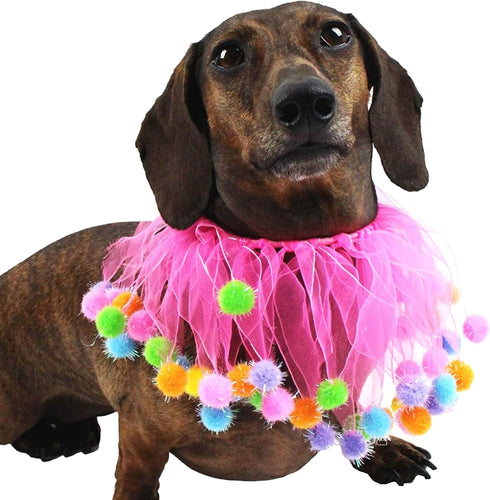 Midlee Pink Birthday Pom Pom Dog Collar, Medium Size