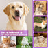 4-in-1 IPX7 Trimmer Trimmer Veeconn Dog Clippers for Grooming - Dog Clippers Grooming Kit with Low Noise & Waterproof