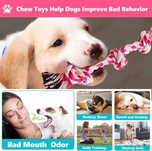 Dog Rope Chew Toy for Medium and Small Dogs | Natural Cotton Pull Rope for Interactive Tug of War (Small 3 Knots, 2