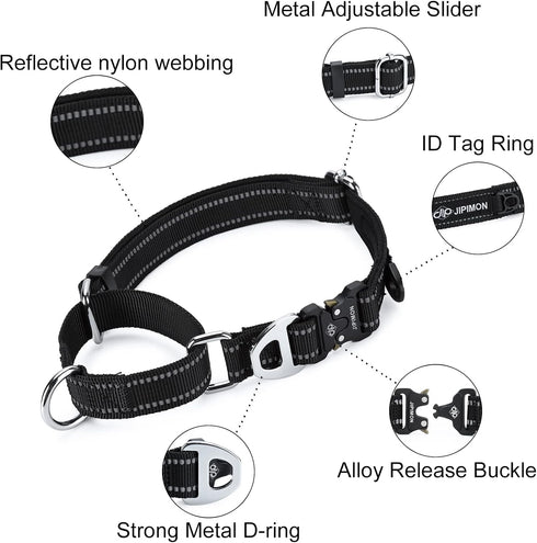 Martingale Dog Collar with Reflective Nylon, Soft Cushion and Alloy Buckle for Small, Medium, and Large Dogs (Small,