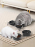Y YHY Dog & Cat Food Bowls, 12OZ Ceramic Elevated Pet Bowls with Sturdy Metal Stand, Grey