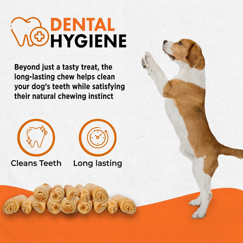Canine Naturals Chicken Recipe Chew - Rawhide Free Dog Treats - All-Natural, Easily Digestible, Mini (6 Count) for Dogs