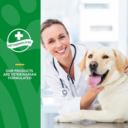 NaturVet Advanced Probiotics and Enzymes Supplement, Plus Vet Strength PB6 Probiotic, 70 Soft Chews Made in the USA
