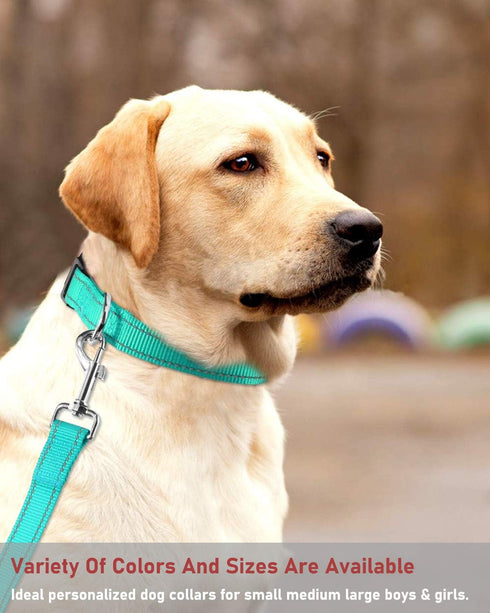 Reflective Dog Collar Adjustable Safety Nylon for Small Medium Large Dogs, Green L