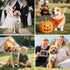 Vgrti Baby Security in Training Funny Dog Bandana Pregnancy Announcement, Pregnancy Dog Bandana, Pet Scarf Accessories