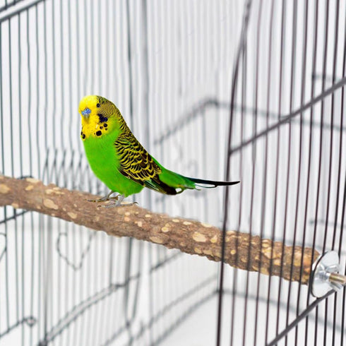 PINVNBY 3Pcs Bird Perches for Cage, Nature Wood Prickly Parrot Stand Toy for Small Medium Birds, Parakeet Cockatiel