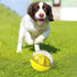 Dog Treat Ball - Interactive Squeaky Food Puzzle Slow Feeder Toys for Medium/Large Dog Breeds, Active Rolling Balls