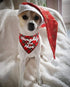 Christmas Bandanas for Dogs, 3 Pack Plaid Pet Bandana for Medium Large Dogs