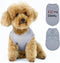 Expressive Pet Vest, Sleeveless Dog Shirt with 'I Love My Daddy' Slogan, Ideal for Chihuahuas, Gray, X-Large