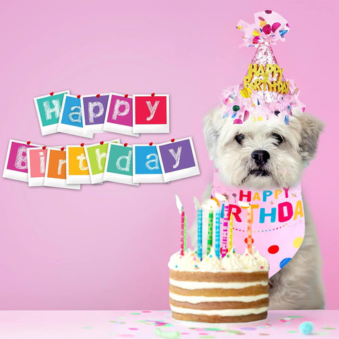 Weewooday 4 Pieces Dog Birthday Outfits, Dog Girl Bandana with Hat and Dress Set for Puppy 1st Birthday Party Supplies