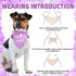 PUPTECK Dog Bandana - Triangle Bibs Scarf Pet Accessories, Photo Prop for Small Medium Large Dogs Girls, Purple