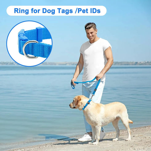 azuza 3 Pack Adjustable Nylon Dog Collars for Small Dogs, S (11-16 inch) - Green, Blue, Royal Blue