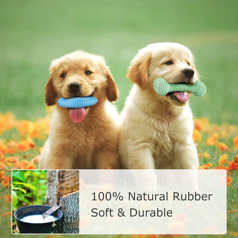 6 Pack Dog Chew Squeaky Toys for Puppy Teething 2-8 Months, Soft & Durable Chew Toys for Small and Medium Dogs