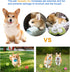 Dog Squeaky Toys, Latex Squeaky Balls for Small Puppy Chewing, Soft Fun Emoji Balls (6 PCS)
