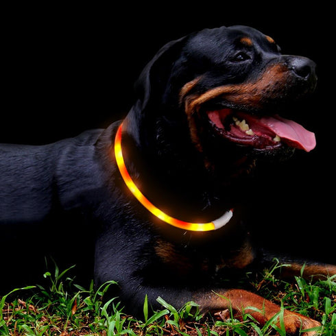 LED Dog Collar, USB Rechargeable Glowing Collar, 3 Flashing Modes, Water-Resistant for Small Medium Large Dogs