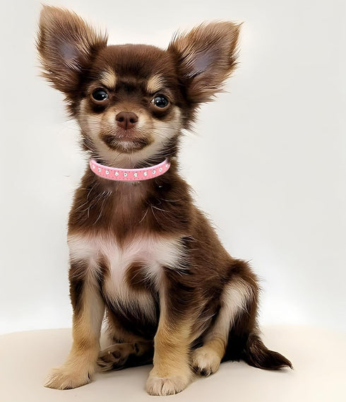 Rhinestone Bling Dog Collar for Small Dogs, Cute Sparkly Glitter Crystal Diamond Collar (Pink, XXS-XS-S-M)