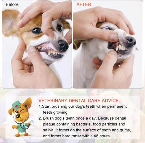 Double Headed Pet Dog Toothbrush for Small Dogs, Soft Bristles Long Handle for Teeth Cleaning, Bulk Toothbrushes