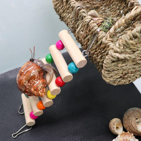 Neeenn Hermit Crab Hideout with Ladder, Wooden Hermit Crab Climbing Toys, Aquariums Ladder Bridge Ramp Toy, Small