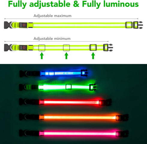 LED Dog Collar, Light Up Adjustable USB Rechargeable Safety Glowing Collars for Dogs (Medium, Green)