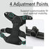 rabbitgoo Dog Harness, No-Pull Pet Harness with 2 Leash Clips, Adjustable Soft Padded Vest, Reflective No-Choke Oxford