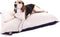 30x40 Blue Rectangle Dog Bed with Removable Washable Cover by Majestic Pet Products, Small to Medium