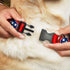 Buckle-Down Plastic Clip Collar - Tennessee Flag Stars Red/White/Blue - 1/2" Wide - Fits 6-9" Neck - Small