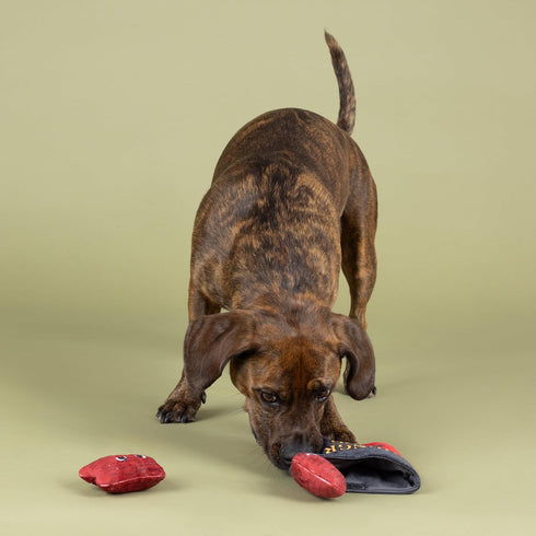 Fringe Studio Plush Dog Toy, Snack Attack, Hide & Seek Interactive Pet Toy, Pet Shop Collection